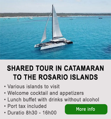 Catamaran tour Rosario Islands