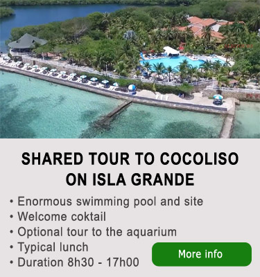Share boat tour to Cocoliso Islas del Rosario