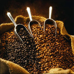 Colombie, le fameux café