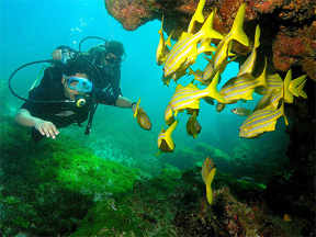 Plongée sous-marine Cartagena