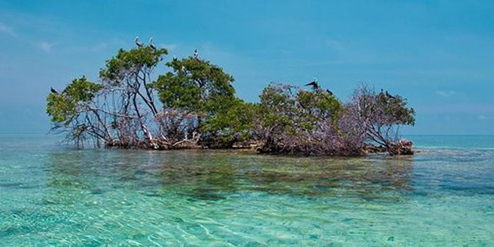 Isla Maravilla islas de San Bernardo