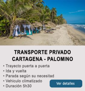 Transporte Cartagena y Palomino