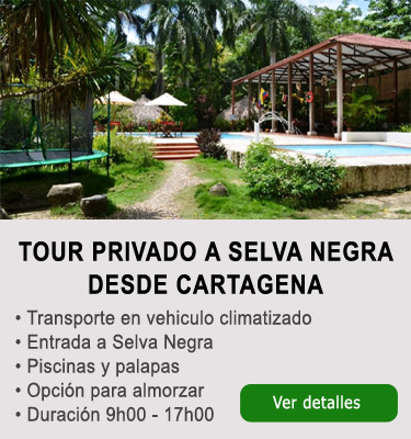Pasadia a Selva Negra desde Cartagena