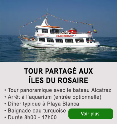 Tour aux îles du Rosaire et Playa Blanca à Baru